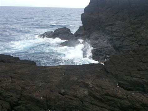 things to do in virac|THE 10 BEST Things to Do in Virac .